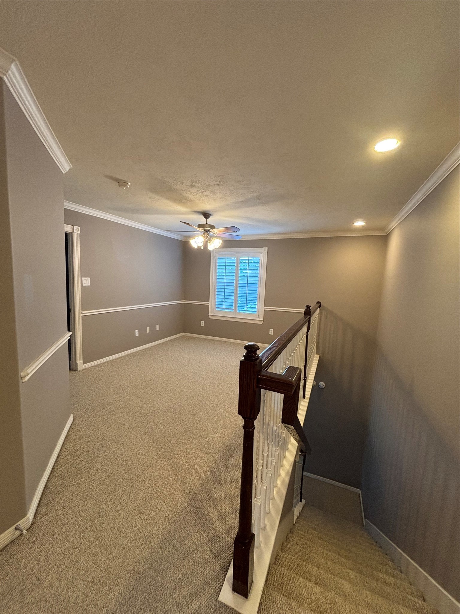 951 Lamonte Lane Houston, TX 77018 - Photo 23 of 27