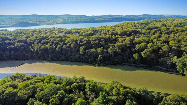 a view of a backyard with a garden