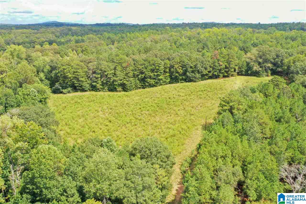 378 Old Mill Road Blountsville, AL 35031 - Photo 10 of 10