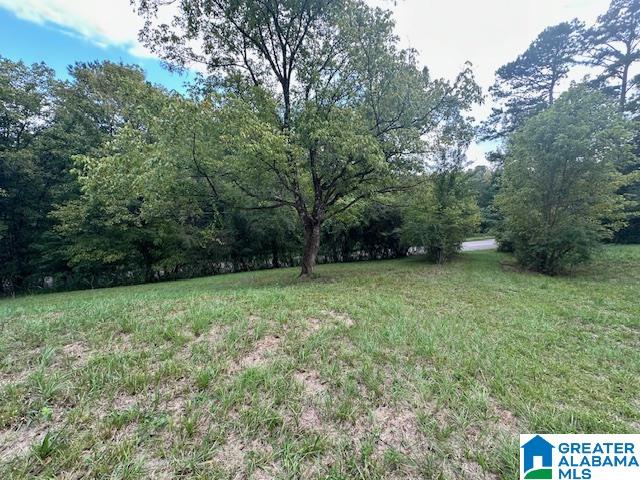 165 Roulain Road Odenville, AL 35120 - Photo 3 of 8 Gallery Image 3