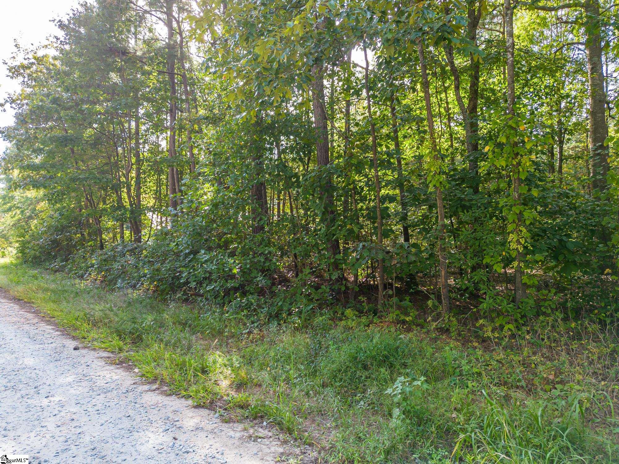 B Riverbend Road, Unit LOT #66 Fair Play, SC 29643 - Photo 4 of 8