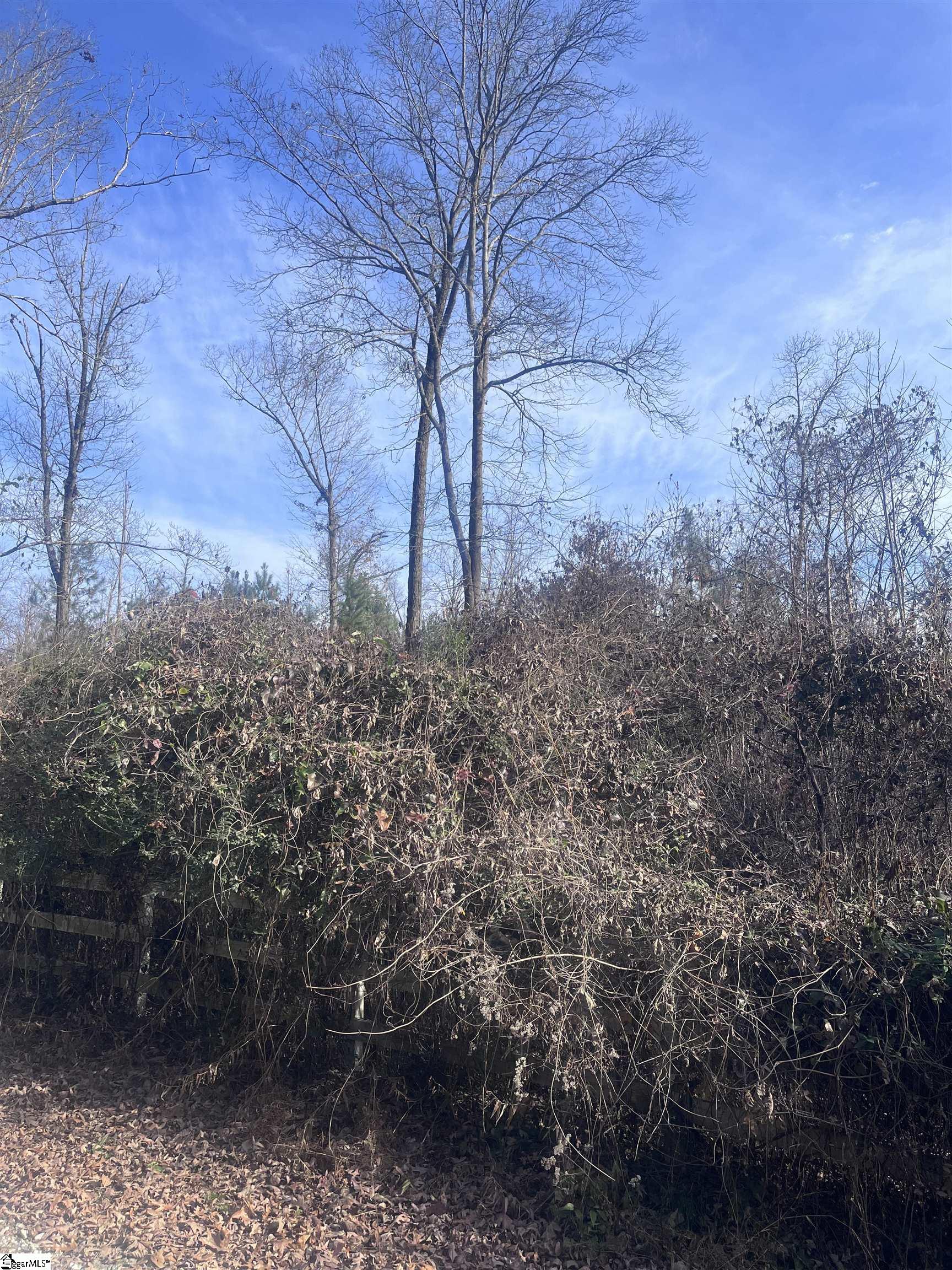 B Riverbend Road, Unit LOT #66 Fair Play, SC 29643 - Photo 5 of 7