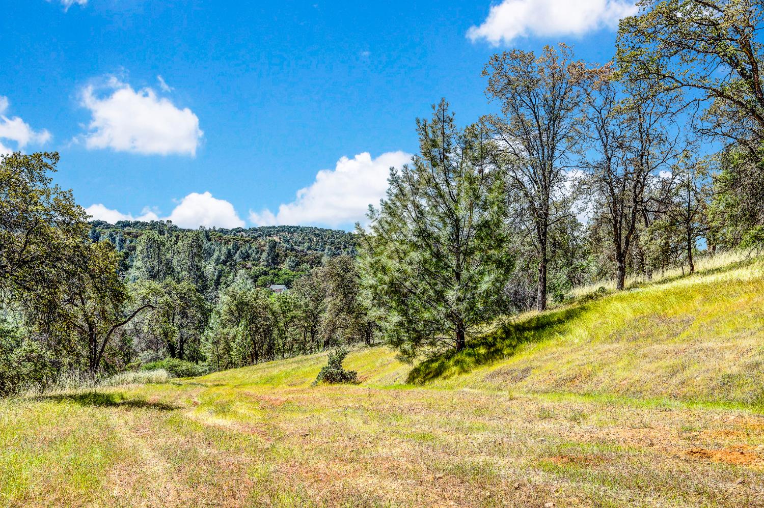 29 Township Road Browns Valley, CA 95918 - Photo 16 of 62 Gallery Image 16