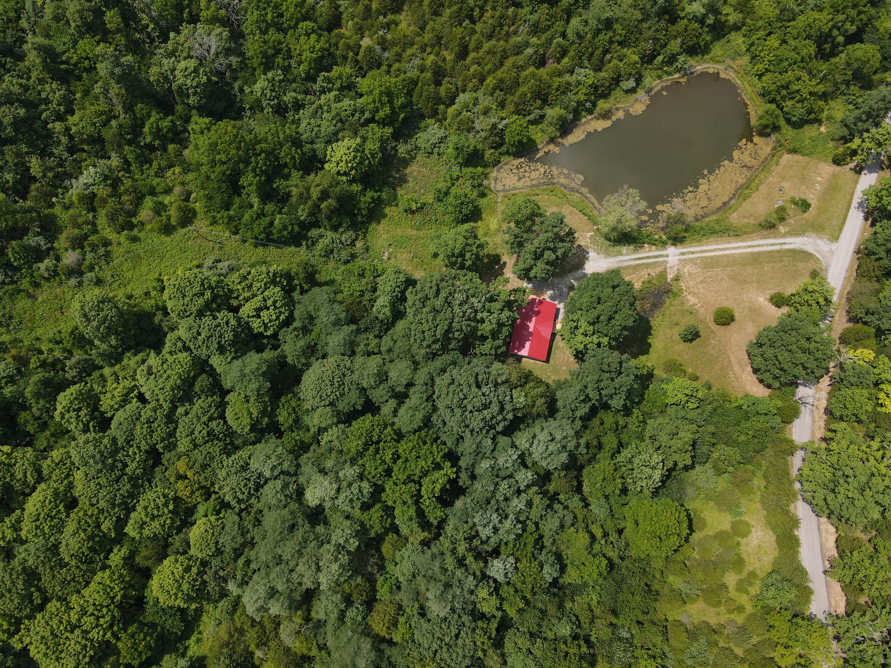 2344 Whitson Road Cynthiana, KY 41031 - Photo 37 of 39 dji_fly_20240709_150556_112_172055202478