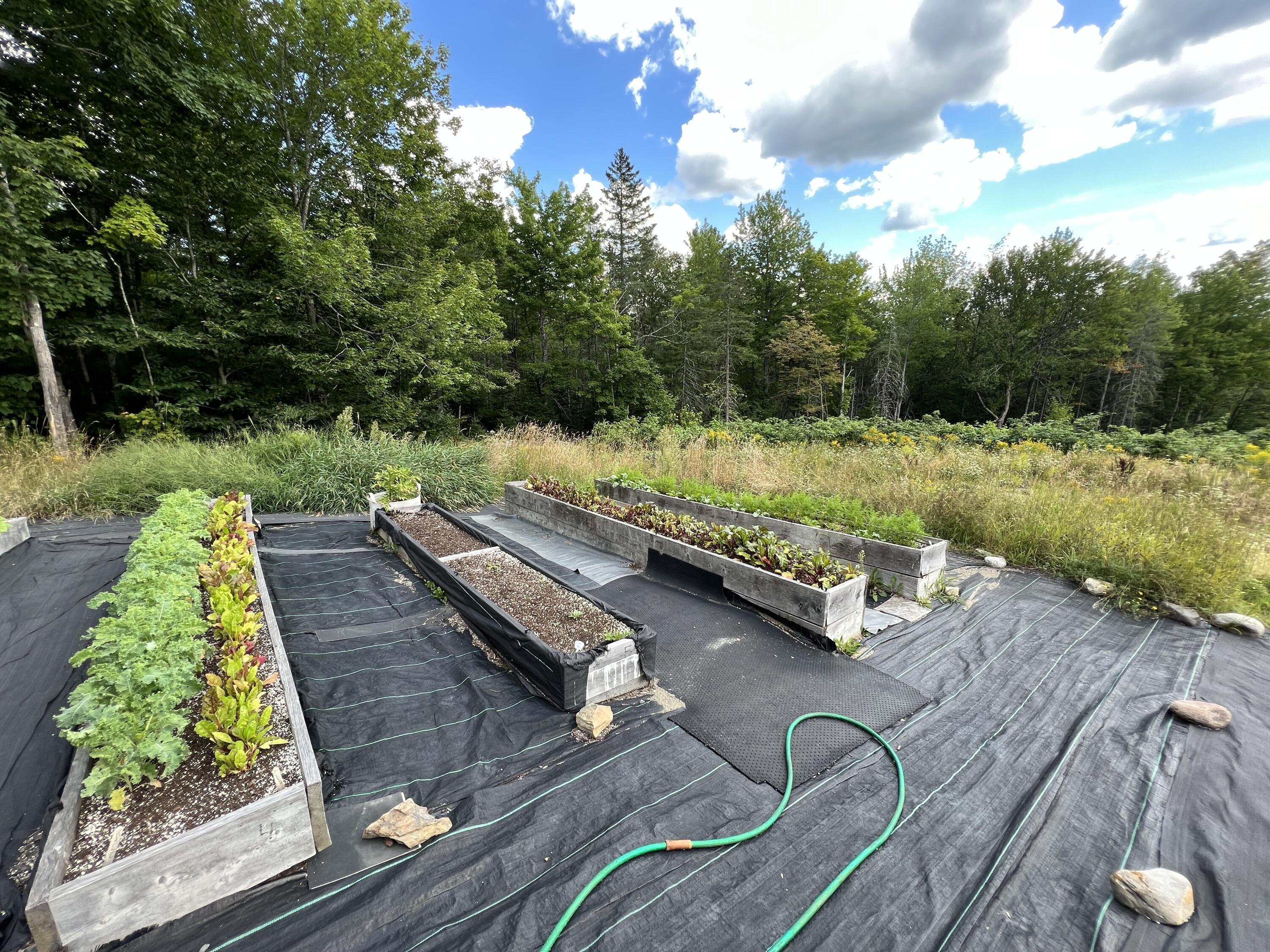77 Foss Hill Road Garland, ME 04939 - Photo 89 of 97 Raised Beds