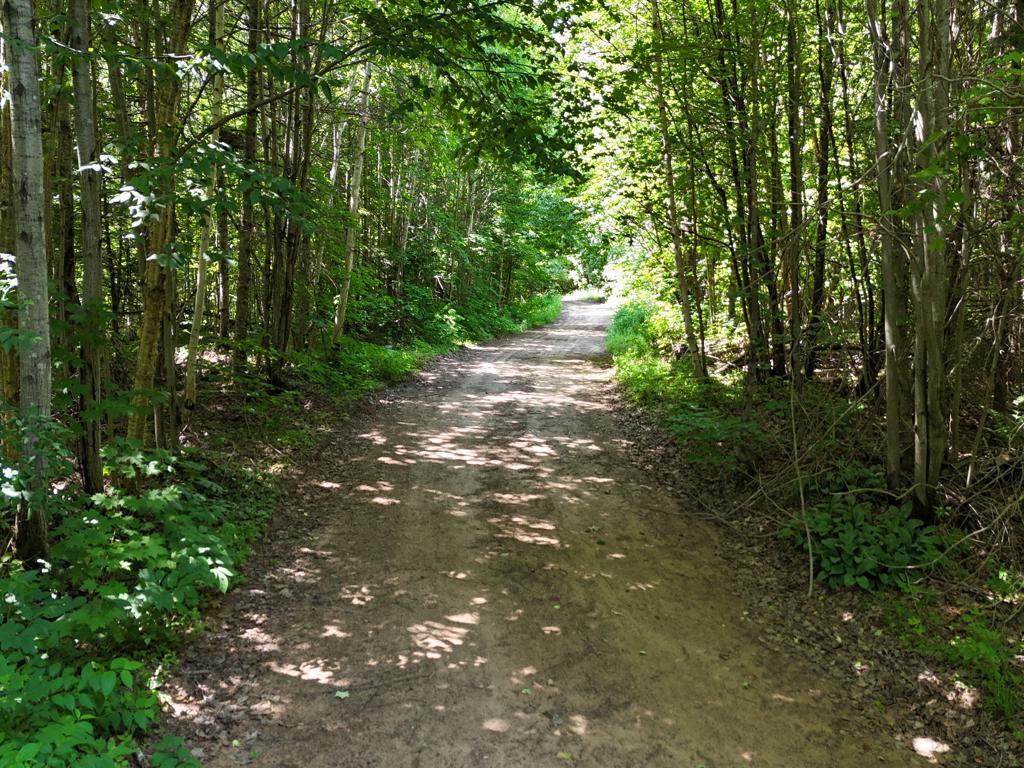 0 Co Road Newberry, MI 49868 - Photo 17 of 29 Gallery Image 17