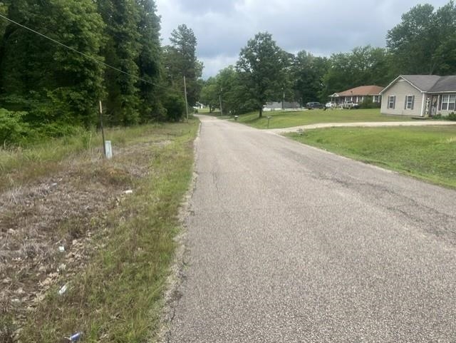 Burnett Mills Road Bolivar, TN 38008 - Photo 5 of 6