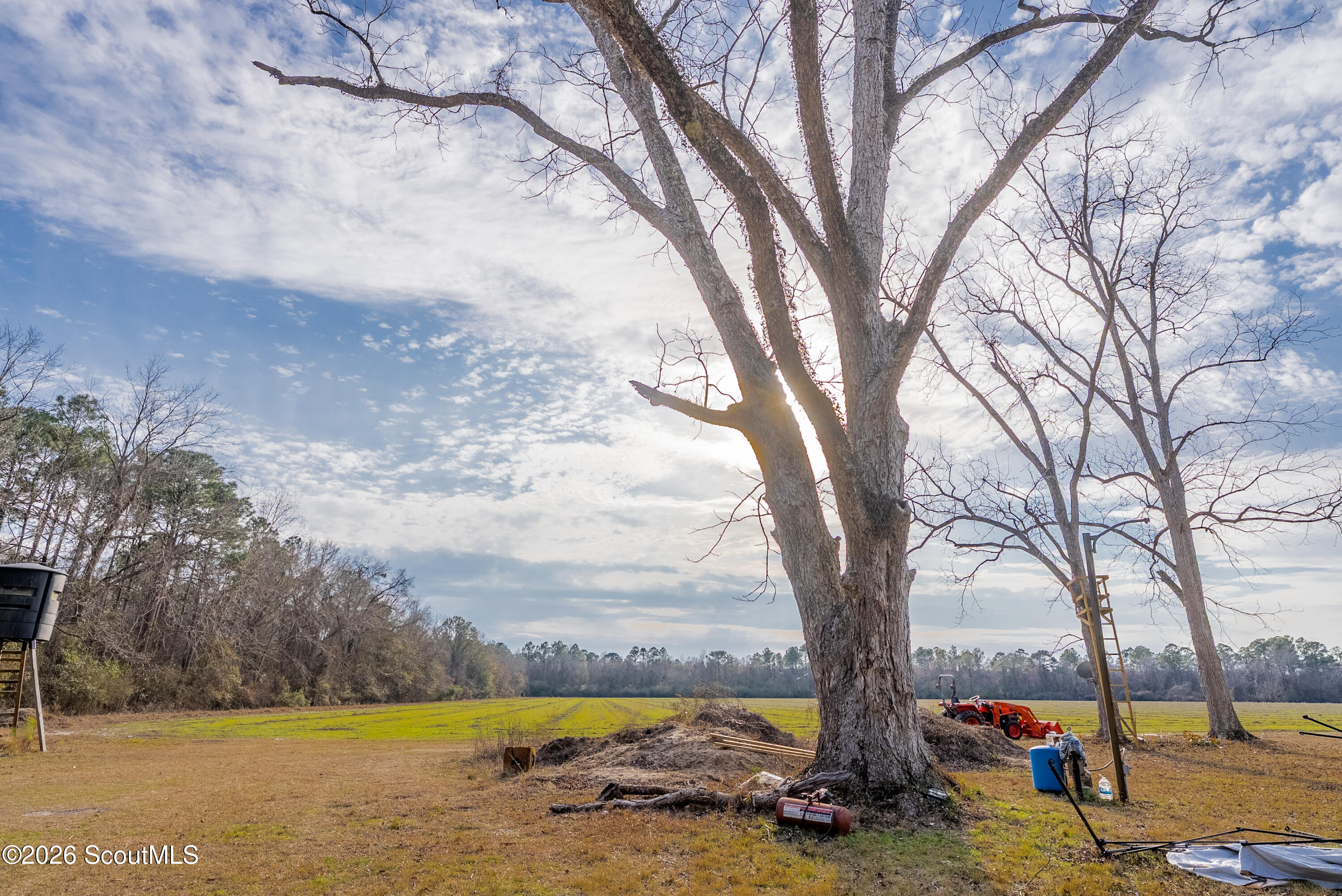 0 Reddish Road Odum, GA 31555 - Photo 32 of 46 230-AC-REDDISH-ODUM-31