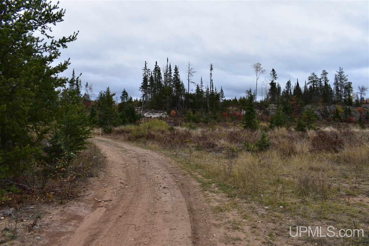 40-acres 40-acres Off Co Road Gwinn, MI 49841 - Photo 5 of 22