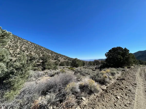 a view of a large building with a mountain in the background