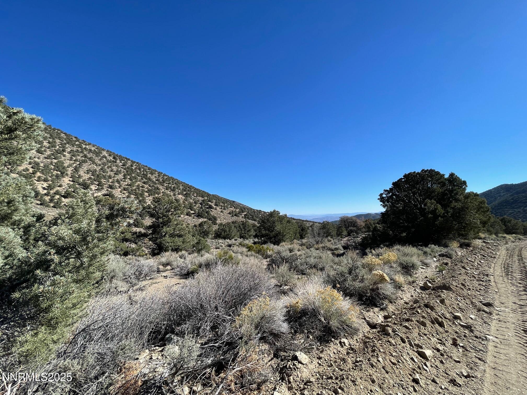 a view of a large building with a mountain in the background