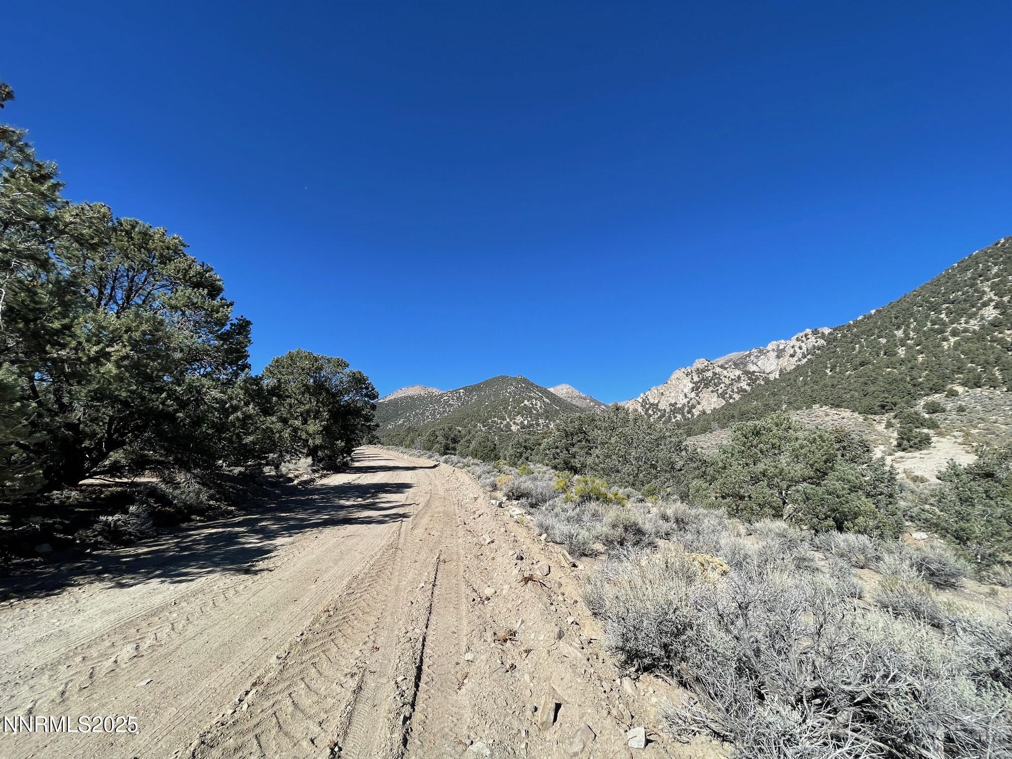 Tbd Lucky Boy Pass Road Hawthorne, NV 89415 - Photo 2 of 4 a view of a dry yard with trees