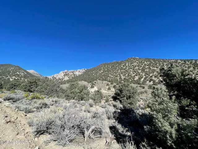 a view of a large building with mountains in the background