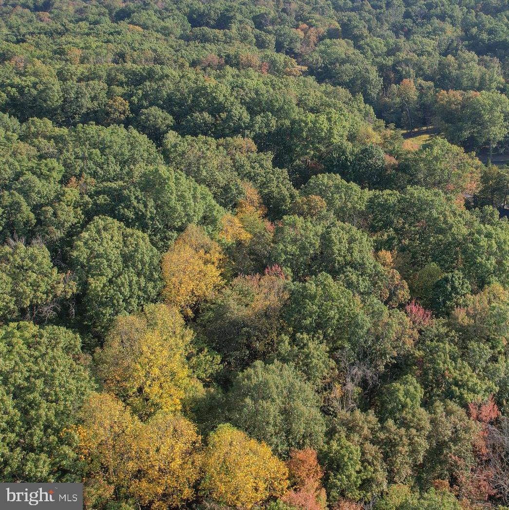 9 Martinsburg Road Berkeley Springs, WV 25411 - Photo 2 of 6 a view of a forest with a street