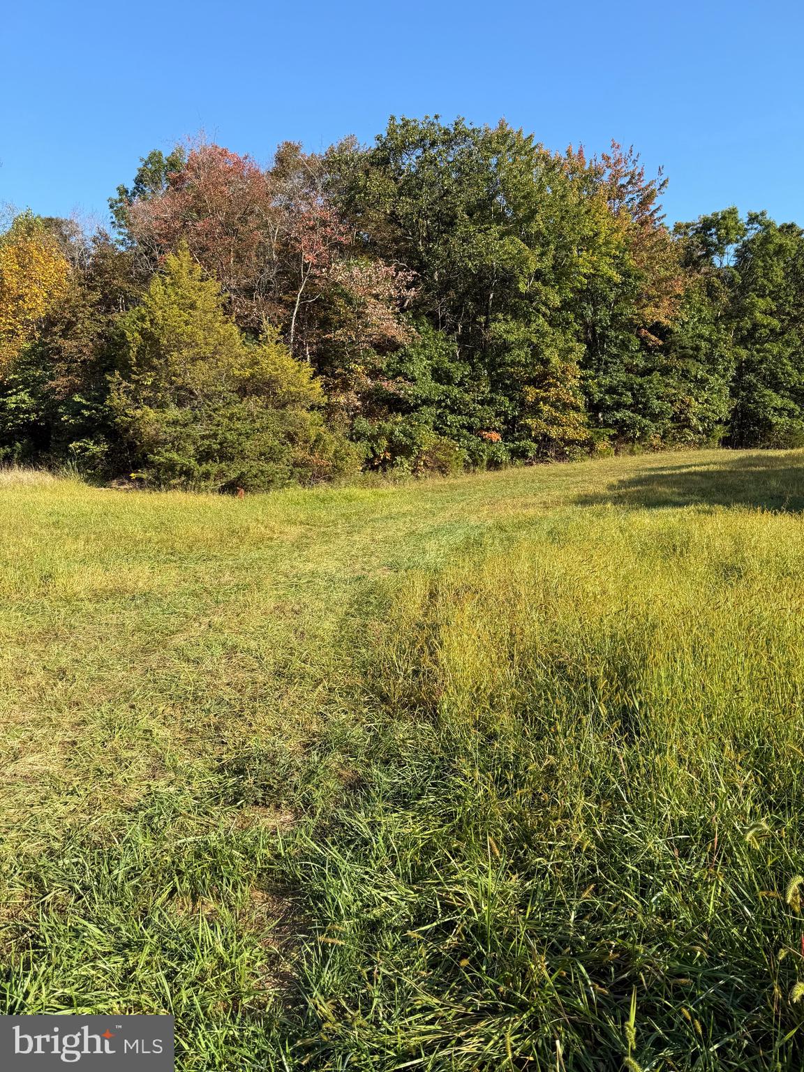 9 Martinsburg Road Berkeley Springs, WV 25411 - Photo 3 of 6 a view of an ocean from a yard