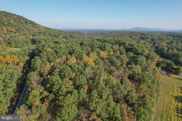 a view of a green field