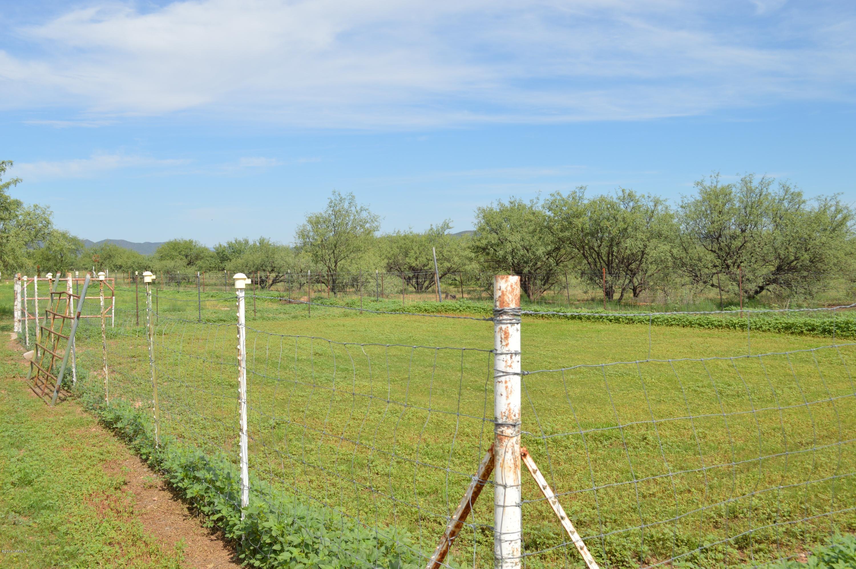 37451 South Arivaca Ranch Road Arivaca, AZ 85601 - Photo 19 of 26