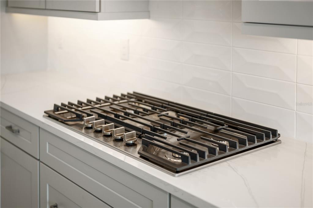 5830 Freestone Circle Apollo Beach, FL 33572 - Photo 12 of 34 a close up of a stove in a kitchen