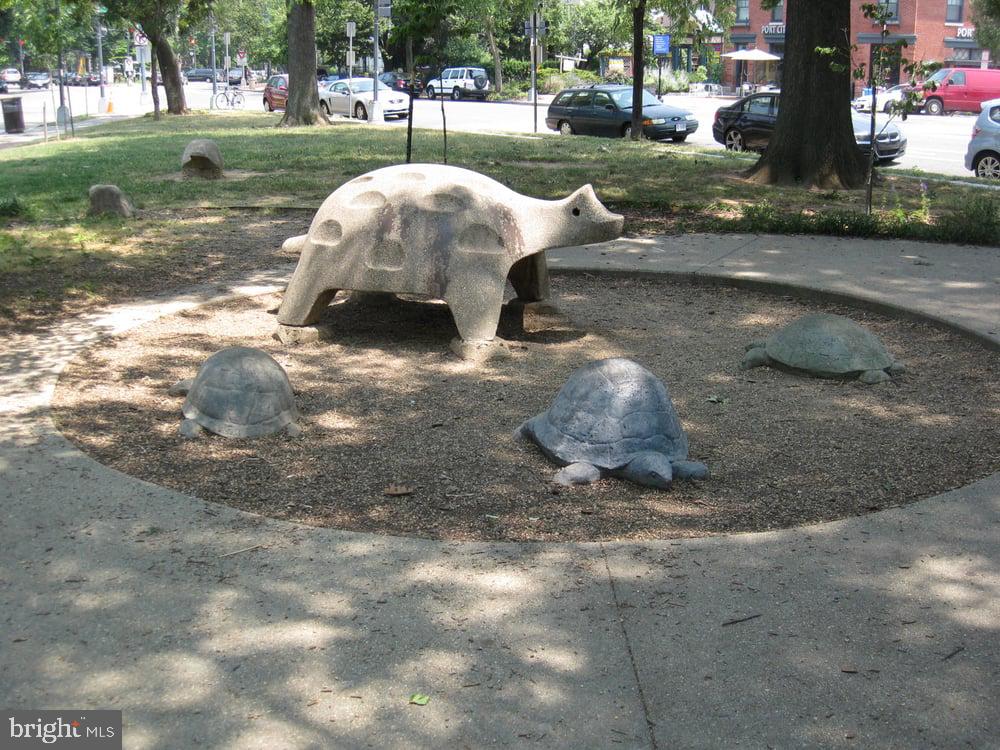 3624 Warren Street Northwest Washington, DC 20008 - Photo 68 of 77 Turtle park