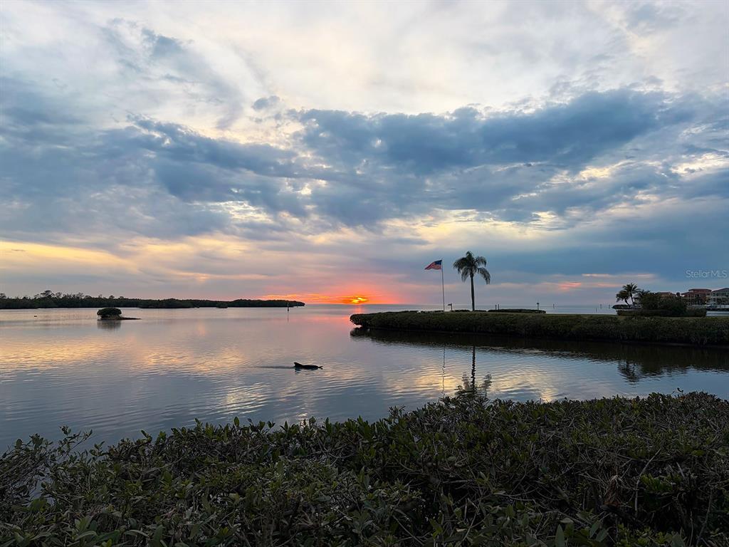 4620 Bay Boulevard, Unit 1122 Port Richey, FL 34668 - Photo 23 of 23