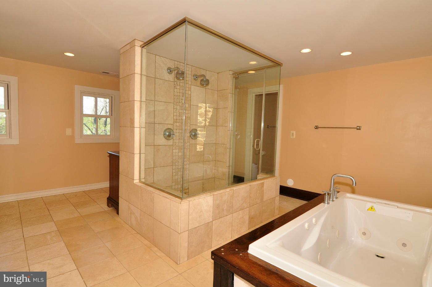 35592 Sunny Ridge Road Round Hill, VA 20141 - Photo 15 of 30 Bath (Master)