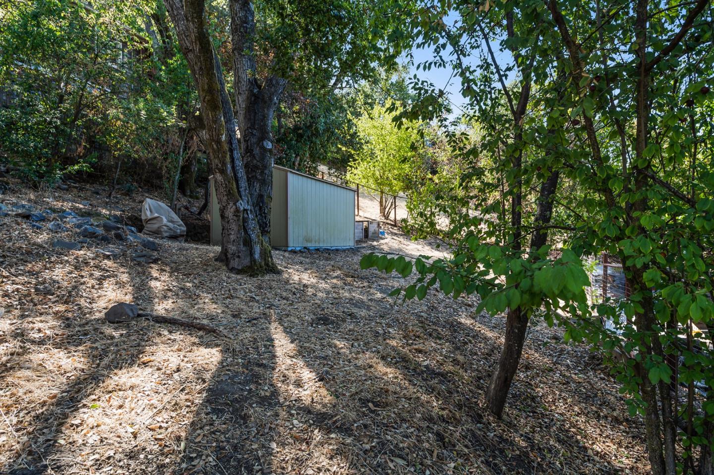 1975 Cordilleras Road Redwood City, CA 94062 - Photo 35 of 39 a backyard of a house with lots of green space