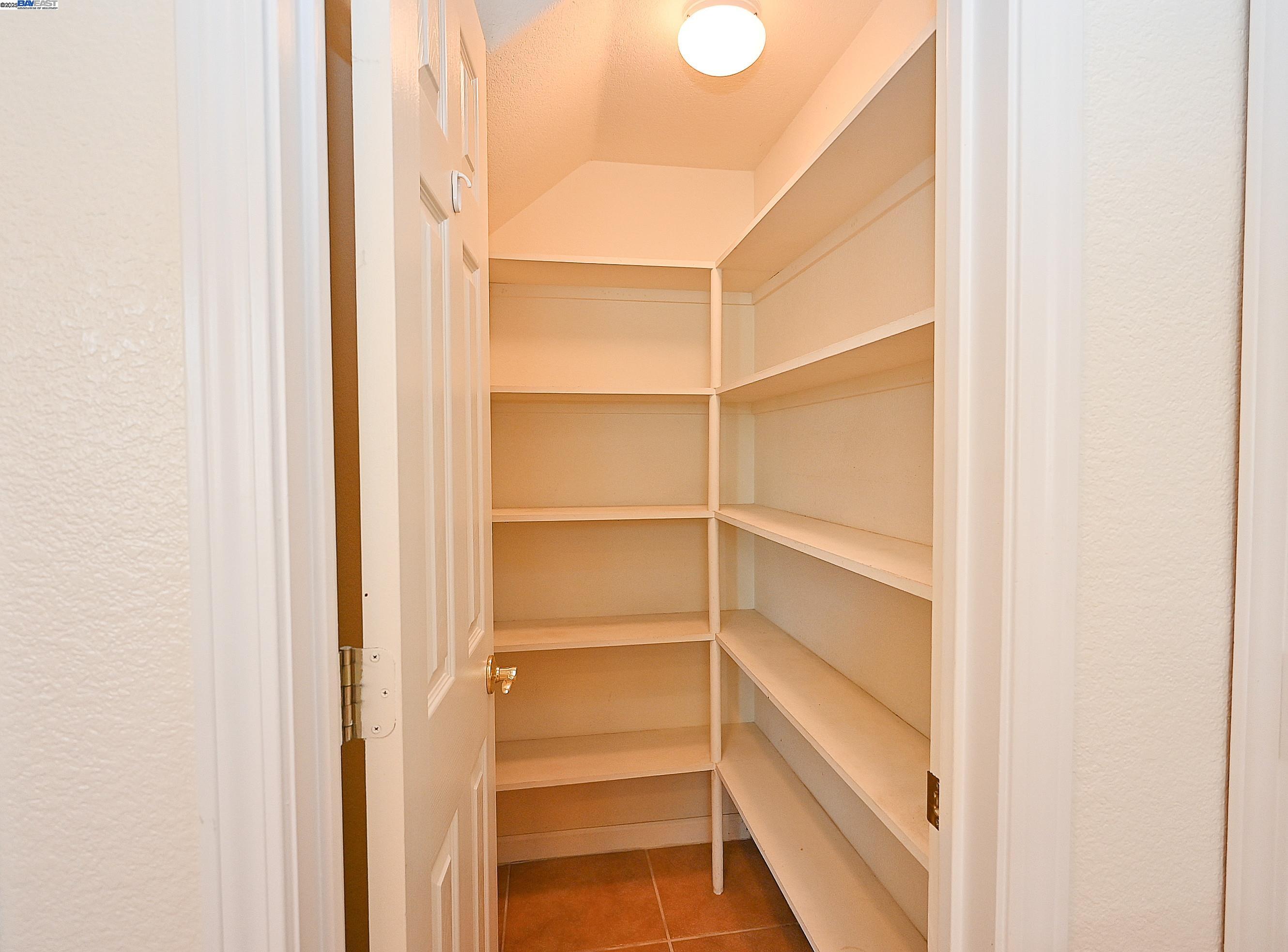 4189 Tessa Place Pleasanton, CA 94566 - Photo 13 of 41 a view of walk in closet with empty racks