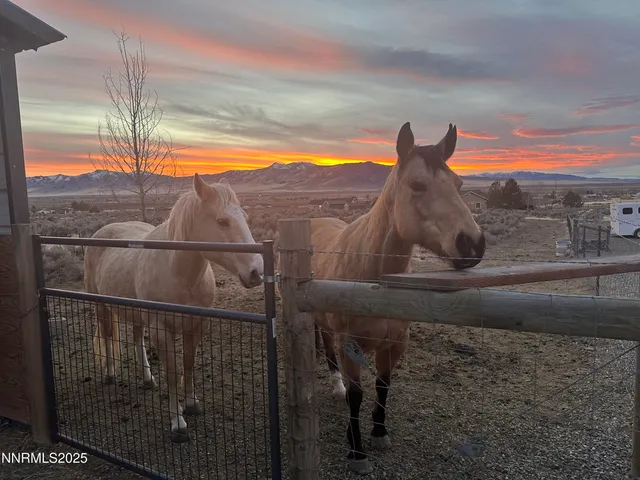 a view of a houses with a from a window