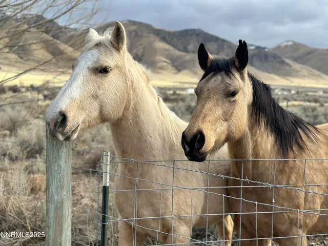 a close view of shower