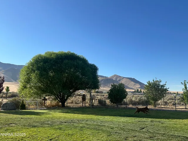 a house that has a tree in front of it