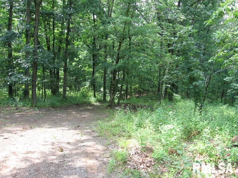 - Autumn Rdg Road Carbondale, IL 62902 - Photo 1 of 1 Gallery Image 1