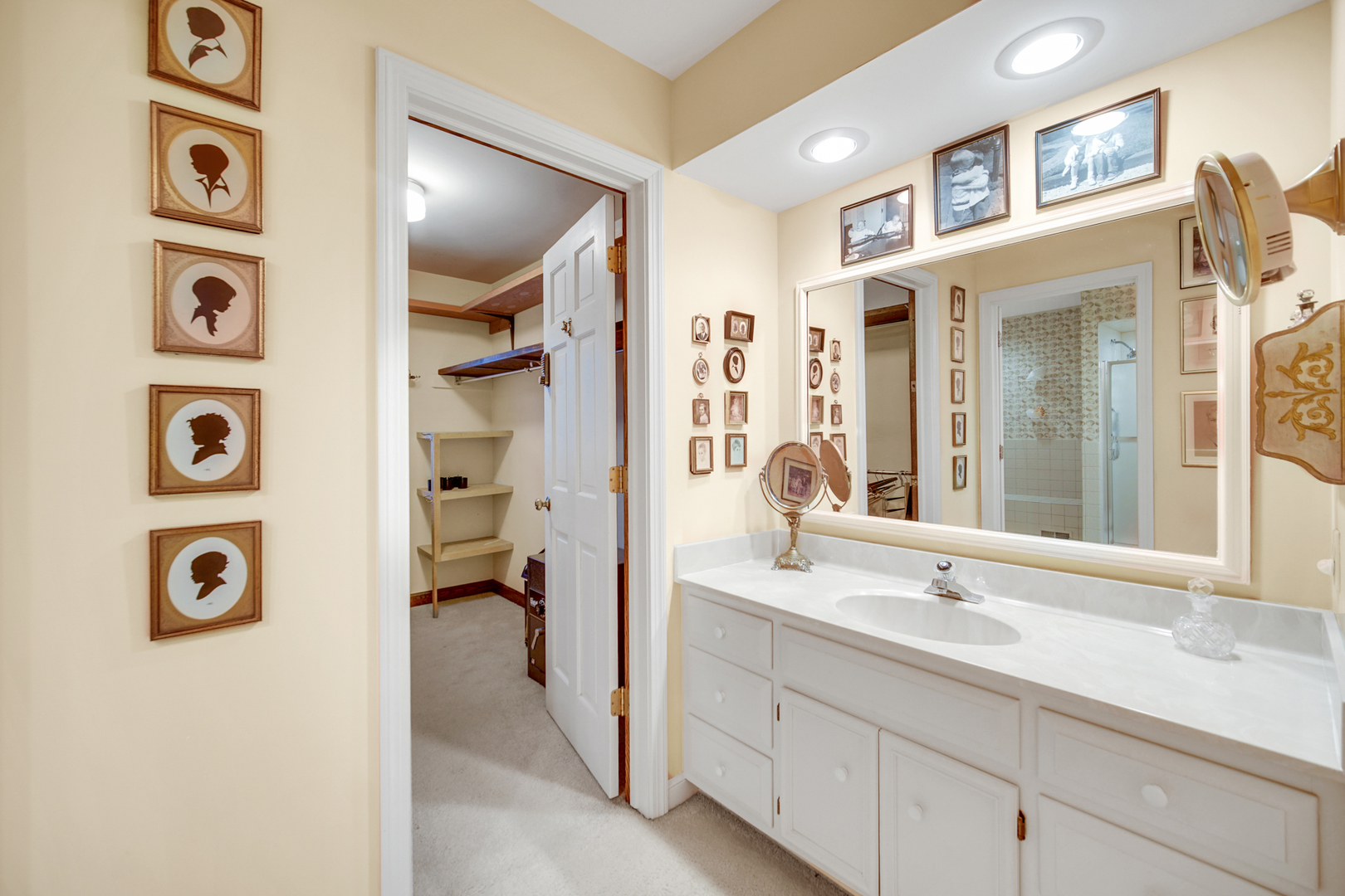 1380 Hampton Course St. Charles, IL 60174 - Photo 21 of 35 a en suite bathroom with a sink and a large mirror