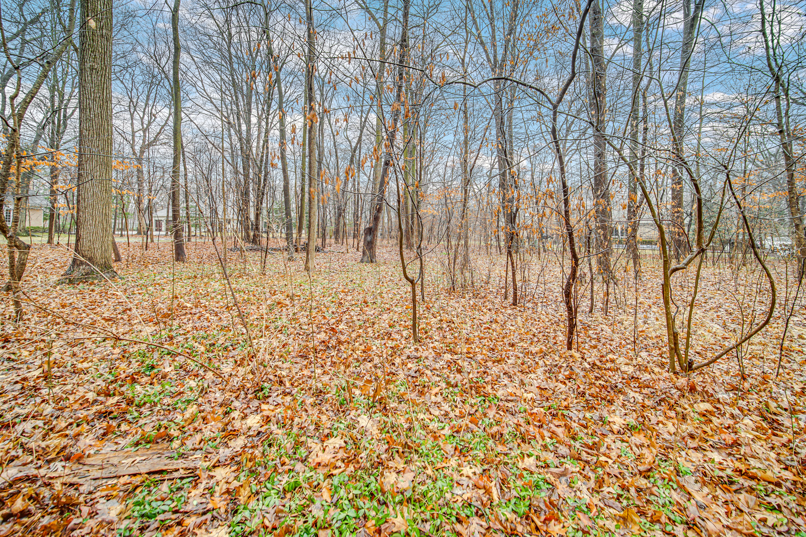 1380 Hampton Course St. Charles, IL 60174 - Photo 32 of 35