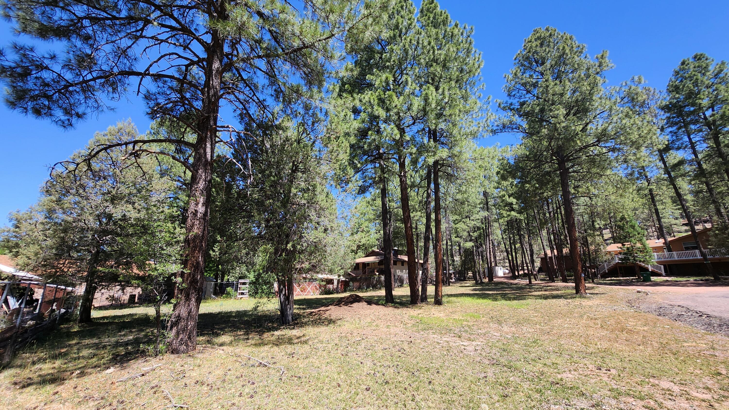 181 Cedar Circle Payson, AZ 85541 - Photo 3 of 8 Lot181-TV3
