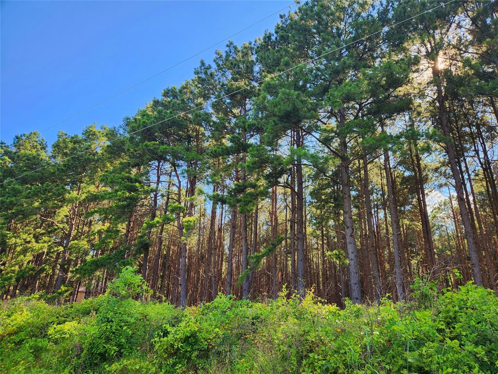 459 Cr-4712 Larue Tx