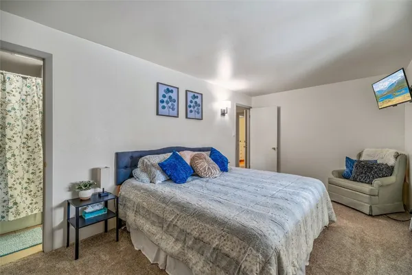 a bedroom with a bed and a couch