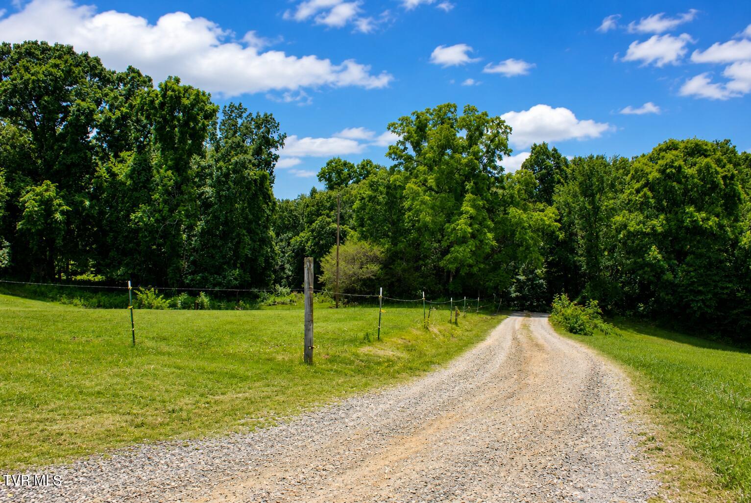 710 Colvert Road Mosheim, TN 37818 - Photo 43 of 57 Driveway