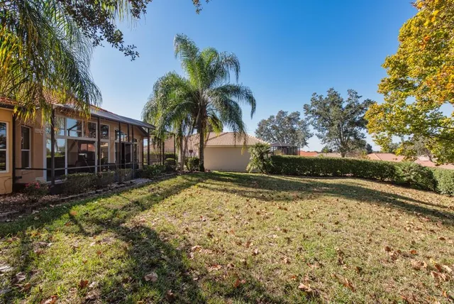 a view of a backyard with palm trees
