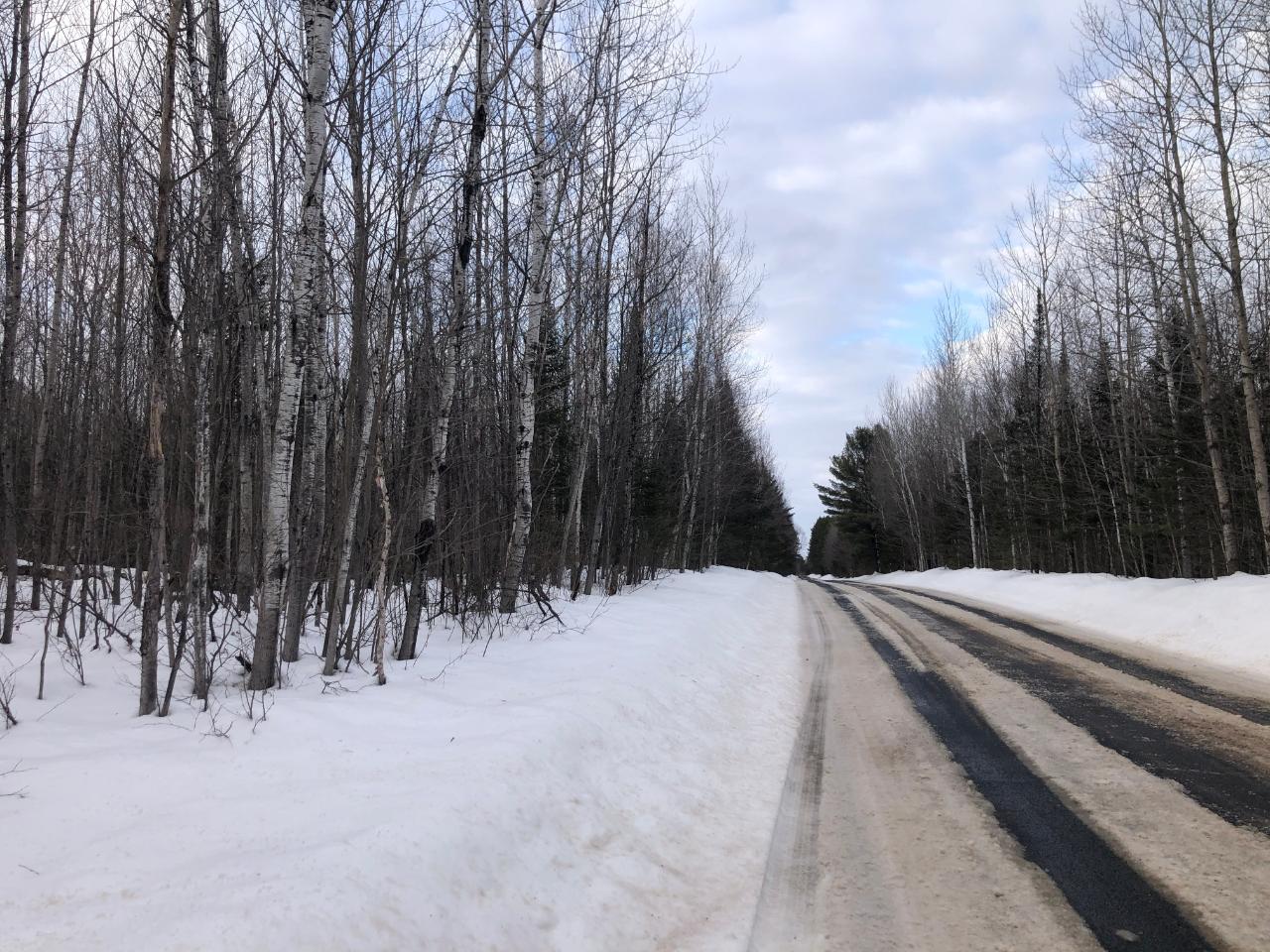 60-acres Pine Lake Road Minocqua, WI 54548 - Photo 10 of 11 Gallery Image 10
