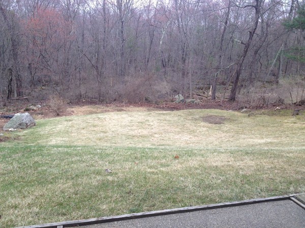 12 Institute Road Grafton, MA 01536 - Photo 23 of 25 Gallery Image 23
