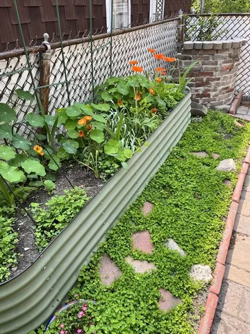 a bunch of flowers in a garden
