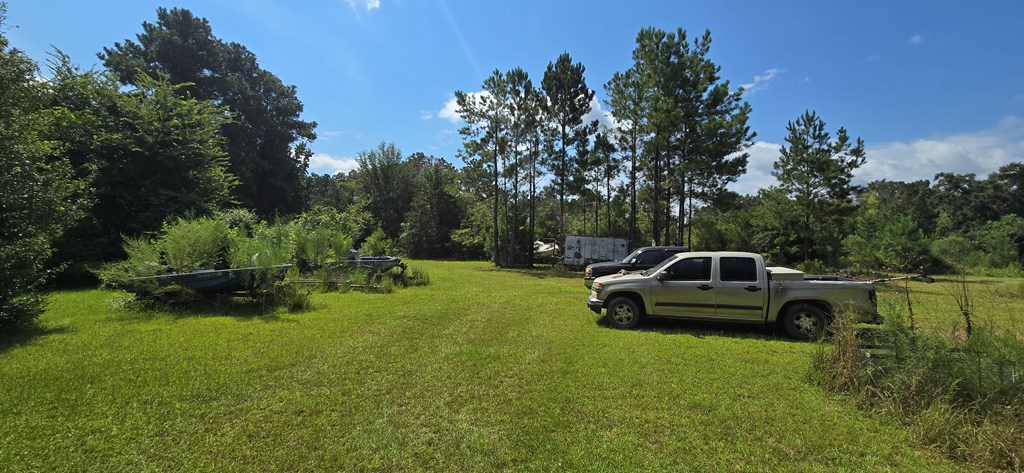 4739 Wallace Buie Road Columbia, AL 36319 - Photo 32 of 54