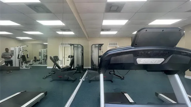 a view of a playground with a tree