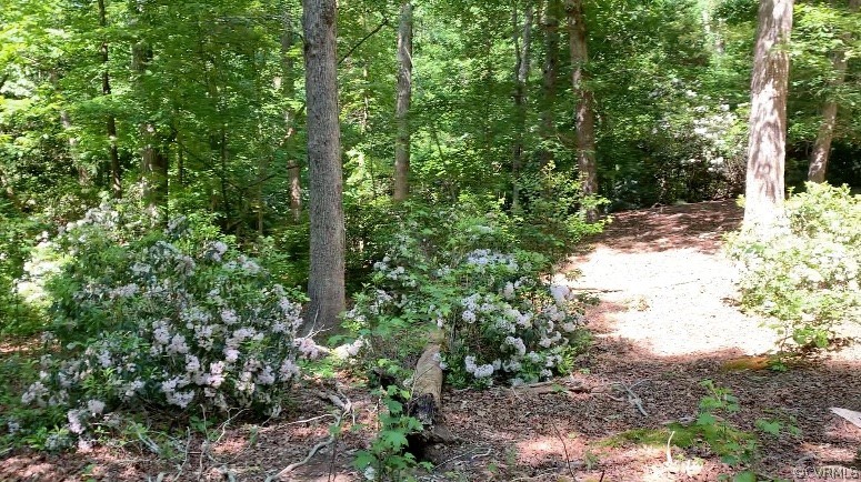 0 Georgetown Road Mechanicsville, VA 23116 - Photo 1 of 8 a view of forest