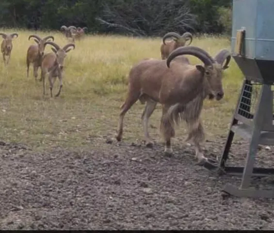 a view of a dry field