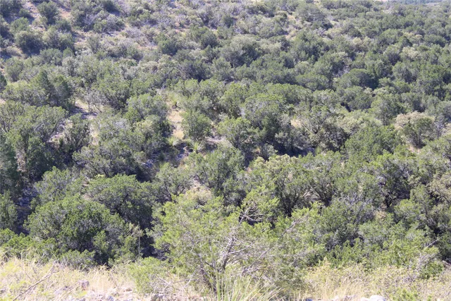 a big yard with lots of green space