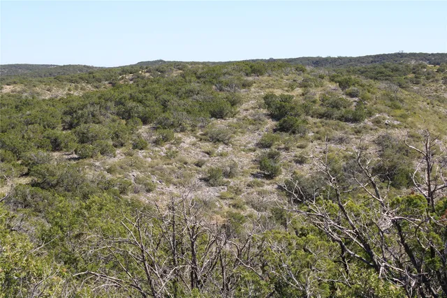 a view of a forest with a forest
