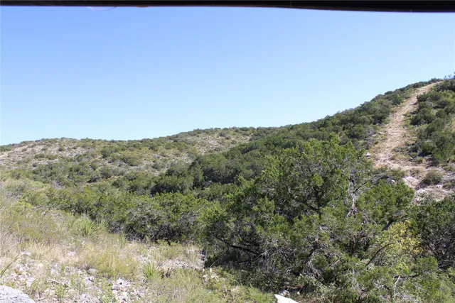 a vase of flowers sitting on a table