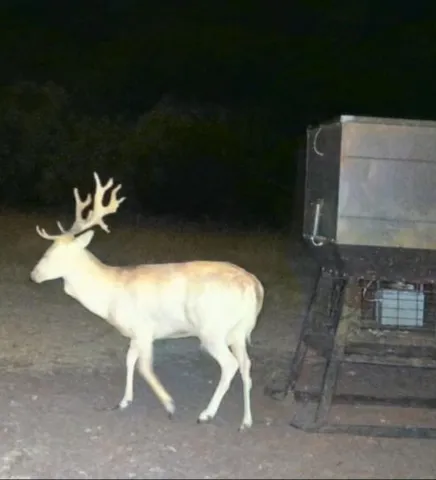 $275,000 | 2705 Private Road 2705, Uvalde, TX 78801