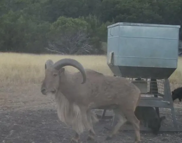 $275,000 | 2705 Private Road 2705, Uvalde, TX 78801